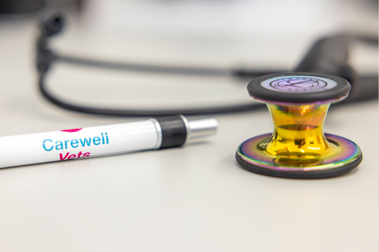 contact dwelly vets