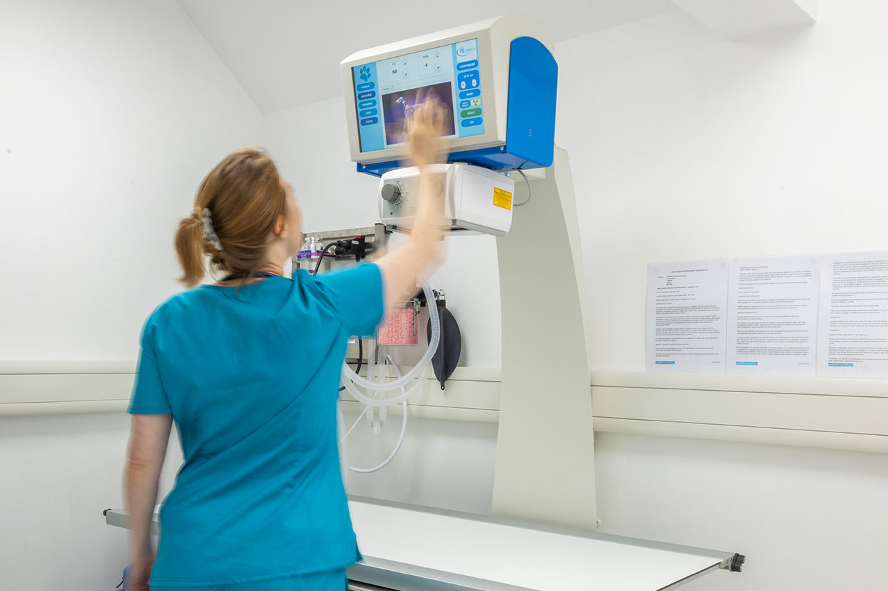 dwelly vets our facilities