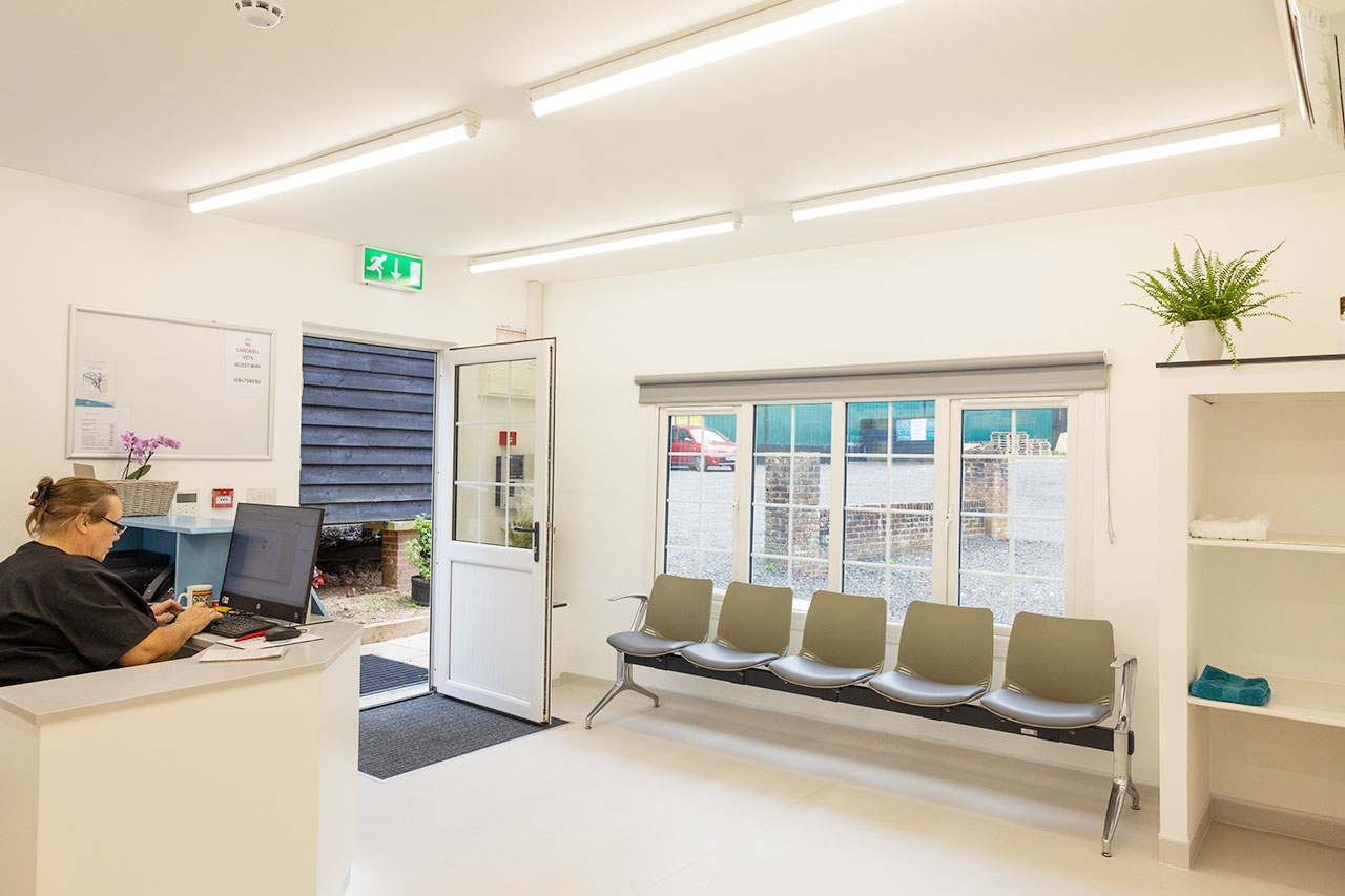 carewell vets facilities