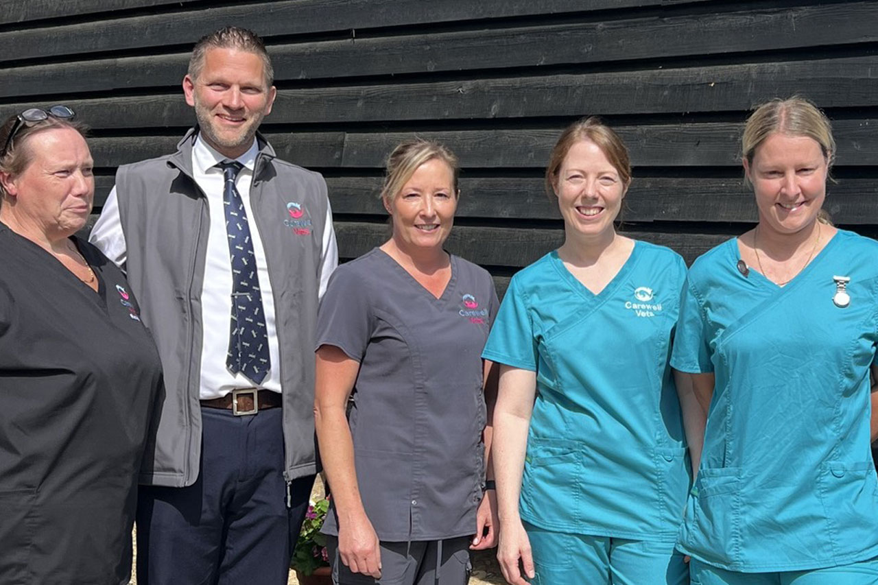 meet the dwelly vets team